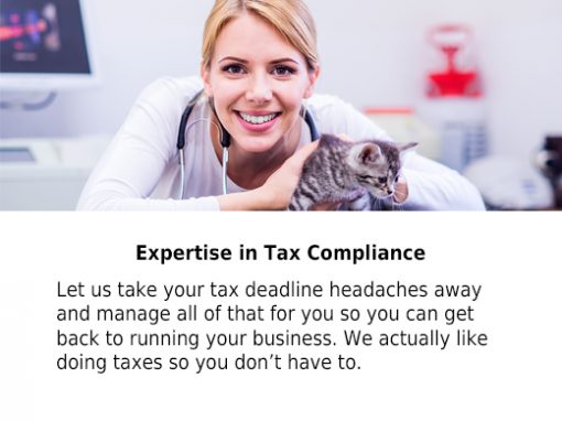 Read more about Tax Preparation and Planning