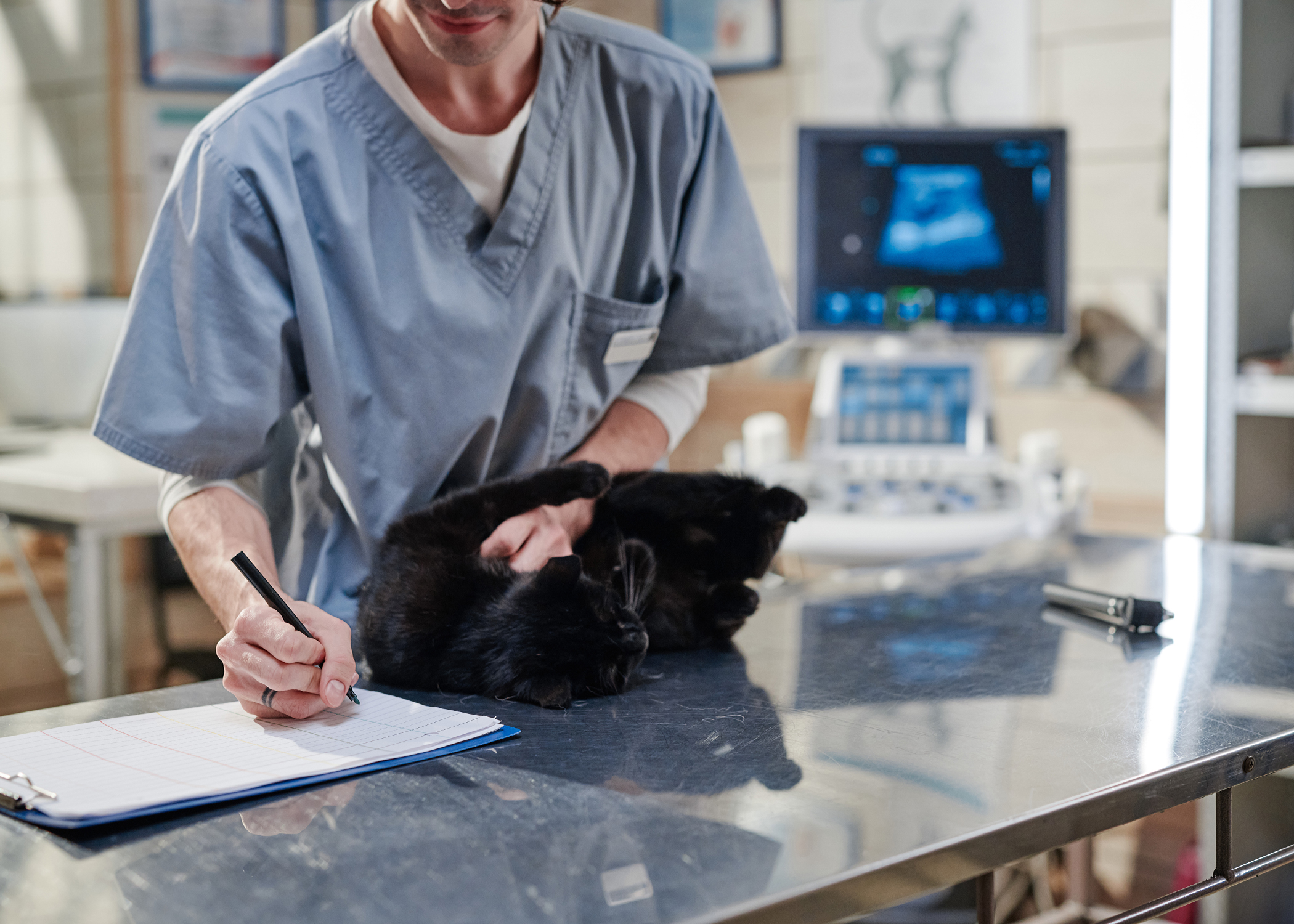 veterinary tax services